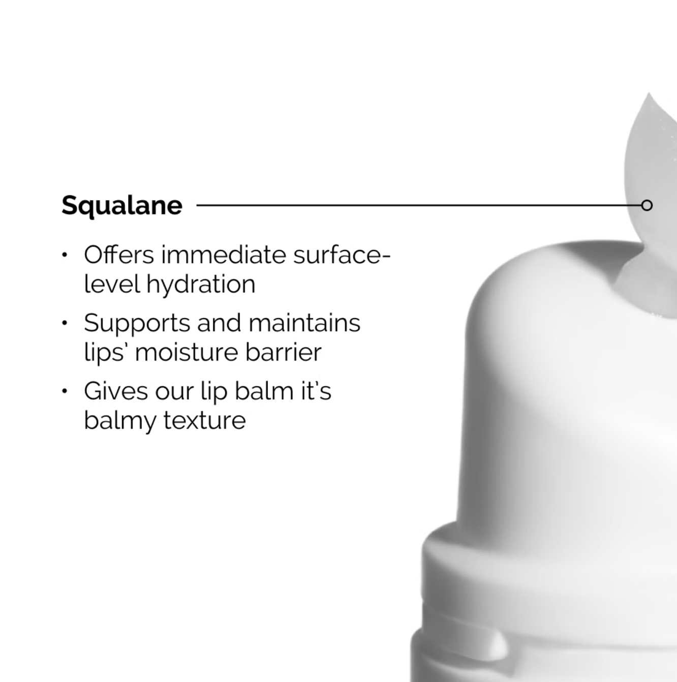 The Ordinary Squalane and Amino Acids Lip Balm 15ml